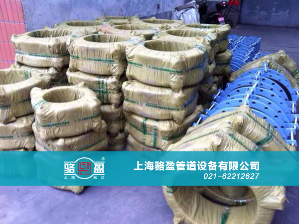 上海骆盈与山东寿光的合作项目